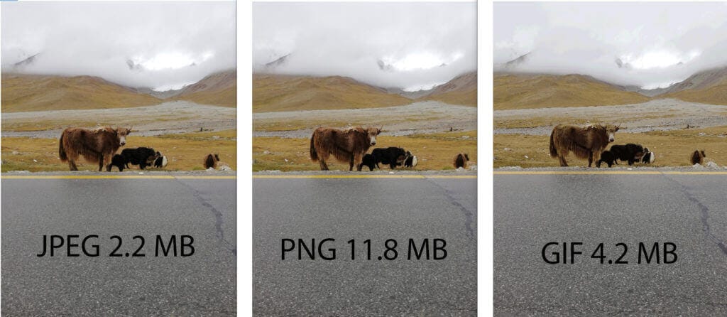 Best Image Format for Your Website. JPEG vs PNG vs GIF vs SVG 10 jpgpnggif new - WebPlover
